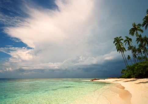 世界上最好的藏身之所 - wish to lily - wish to lily