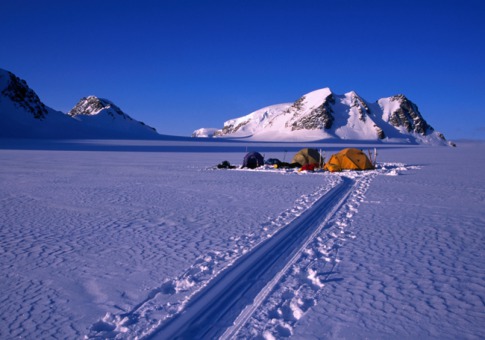 世界上最好的藏身之所 - wish to lily - wish to lily