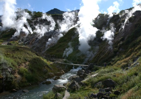 世界上最好的藏身之所 - wish to lily - wish to lily