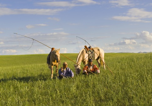 世界上最好的藏身之所 - wish to lily - wish to lily