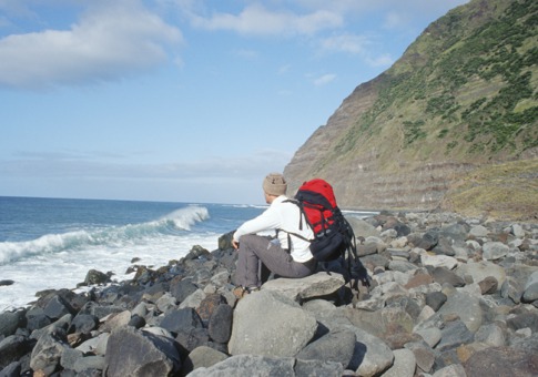 世界上最好的藏身之所 - wish to lily - wish to lily