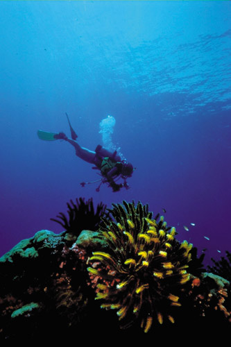 ��ͼ���������������µ�