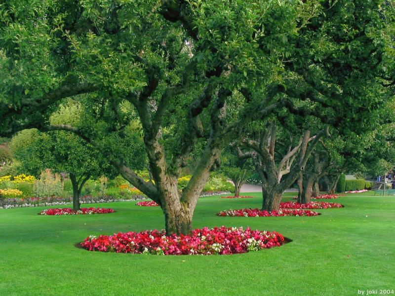 �����ɾ��Ļʼ�԰�� - ��Ʒ����border=