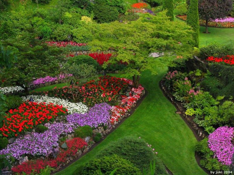 �����ɾ��Ļʼ�԰�� - ��Ʒ����border=