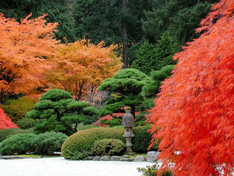 �����ɾ��Ļʼ�԰�� - ��Ʒ����border=