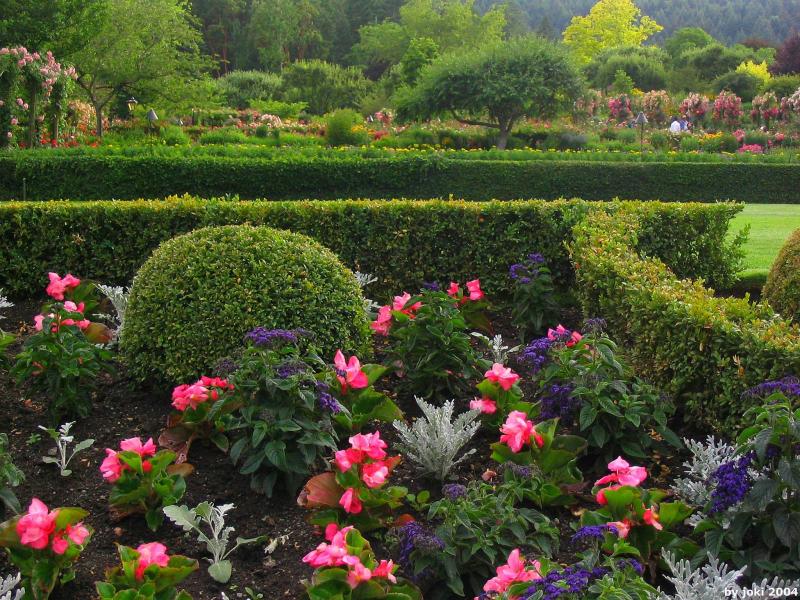 �����ɾ��Ļʼ�԰�� - ��Ʒ����border=