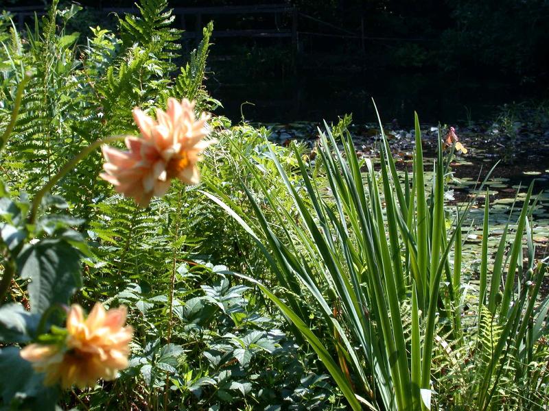 �����ɾ��Ļʼ�԰�� - ��Ʒ����border=