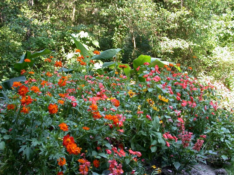 �����ɾ��Ļʼ�԰�� - ��Ʒ����border=