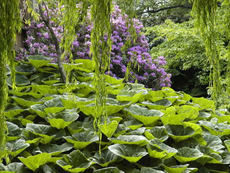 �����ɾ��Ļʼ�԰�� - ��Ʒ����border=