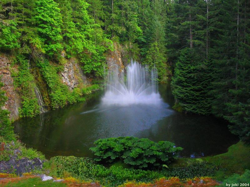 �����ɾ��Ļʼ�԰�� - ��Ʒ����border=