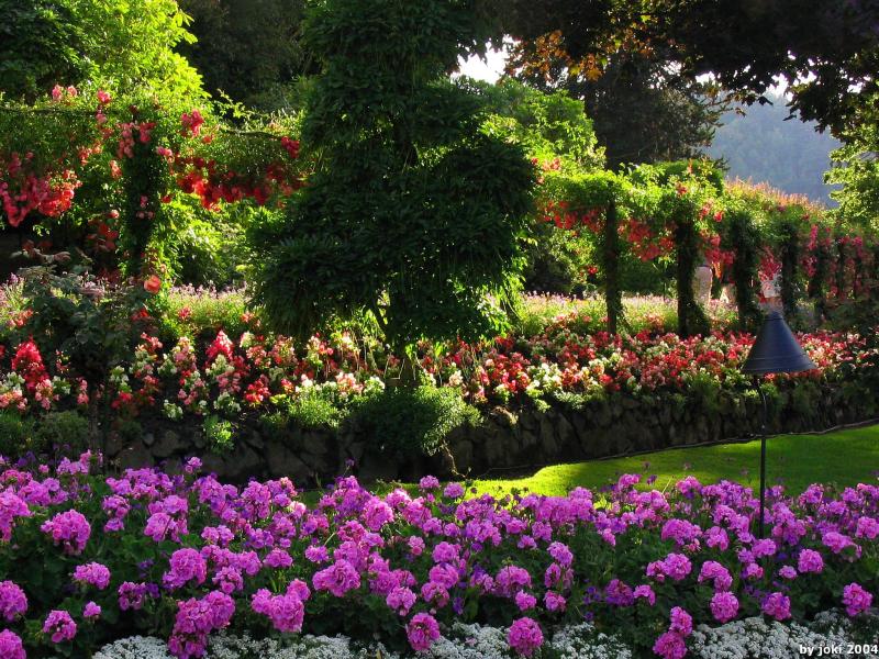 �����ɾ��Ļʼ�԰�� - ��Ʒ����border=