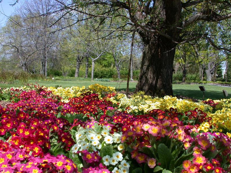 �����ɾ��Ļʼ�԰�� - ��Ʒ����border=