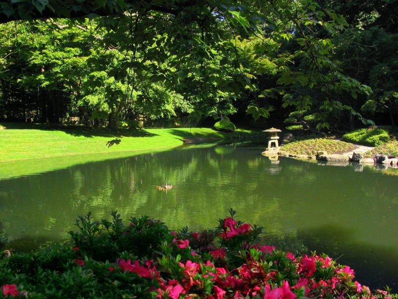 �����ɾ��Ļʼ�԰�� - ��Ʒ����border=