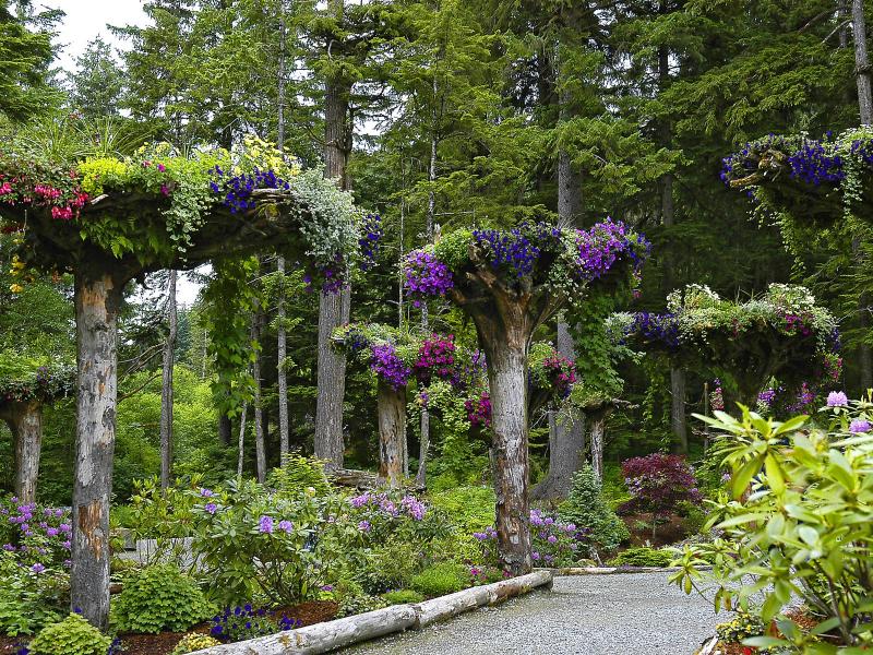 �����ɾ��Ļʼ�԰�� - ��Ʒ����border=