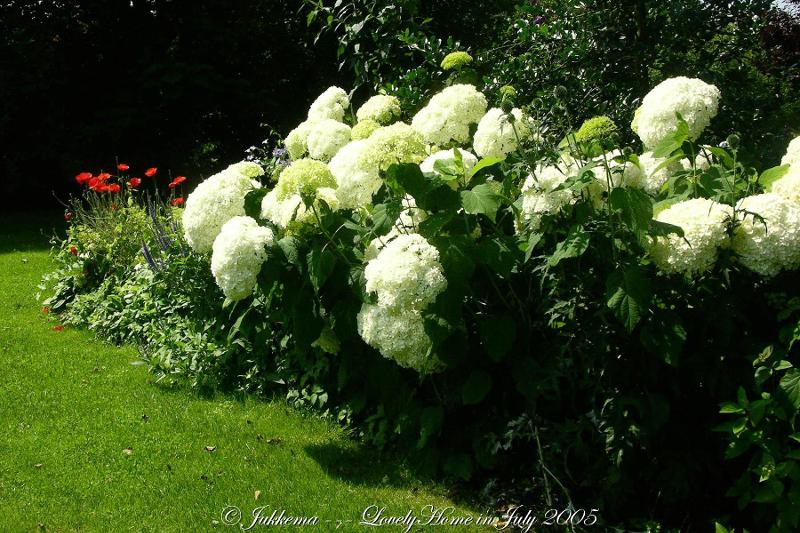 �����ɾ��Ļʼ�԰�� - ��Ʒ����border=