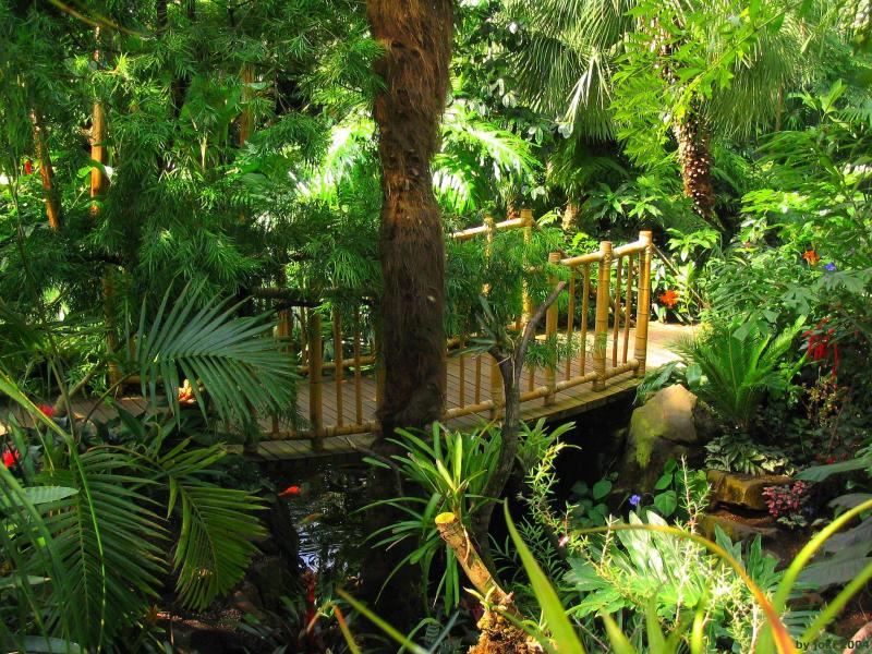 �����ɾ��Ļʼ�԰�� - ��Ʒ����border=