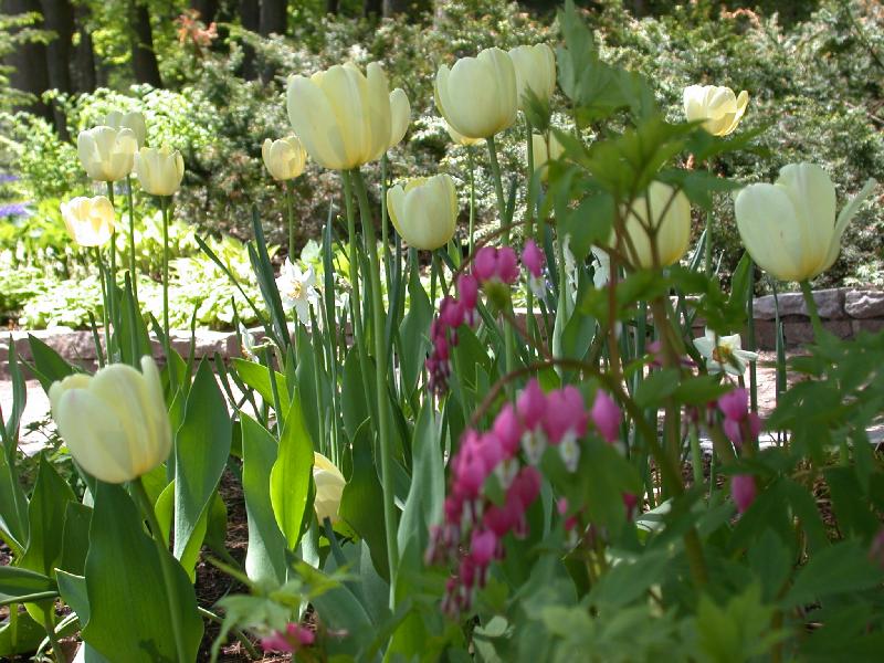 �����ɾ��Ļʼ�԰�� - ��Ʒ����border=