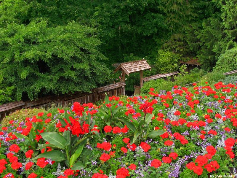 �����ɾ��Ļʼ�԰�� - ��Ʒ����border=