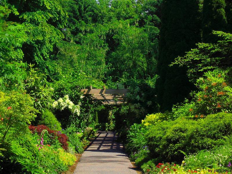 �����ɾ��Ļʼ�԰�� - ��Ʒ����border=