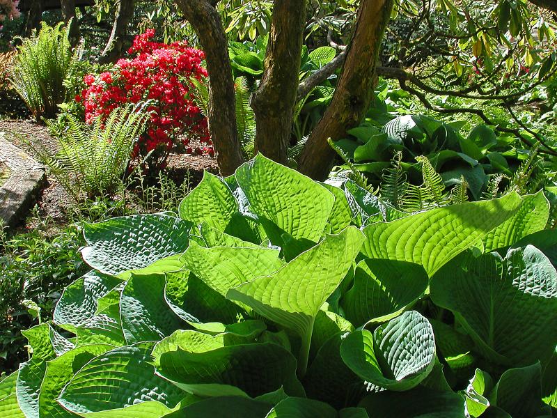 �����ɾ��Ļʼ�԰�� - ��Ʒ����border=