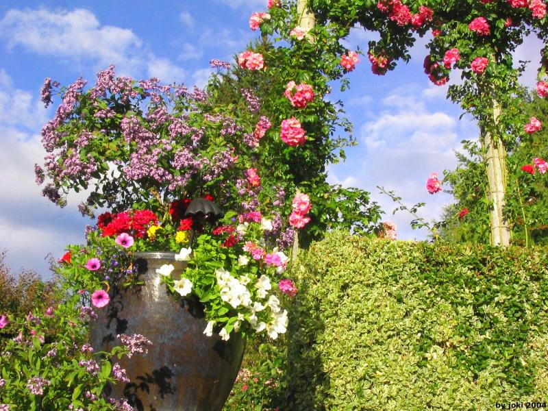 �����ɾ��Ļʼ�԰�� - ��Ʒ����border=