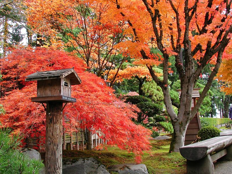 �����ɾ��Ļʼ�԰�� - ��Ʒ����border=