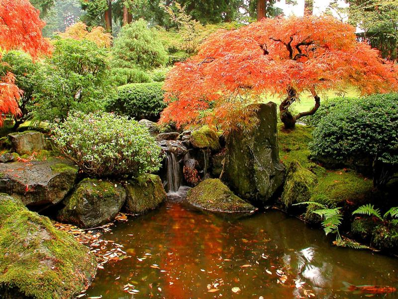 �����ɾ��Ļʼ�԰�� - ��Ʒ����border=