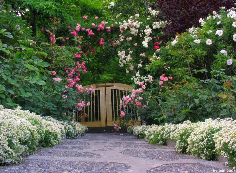 �����ɾ��Ļʼ�԰�� - ��Ʒ����border=