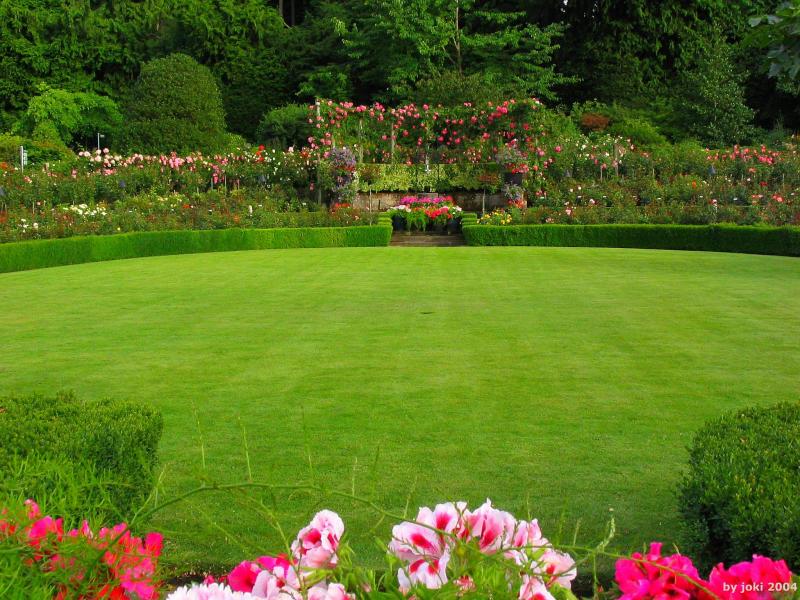 �����ɾ��Ļʼ�԰�� - ��Ʒ����border=