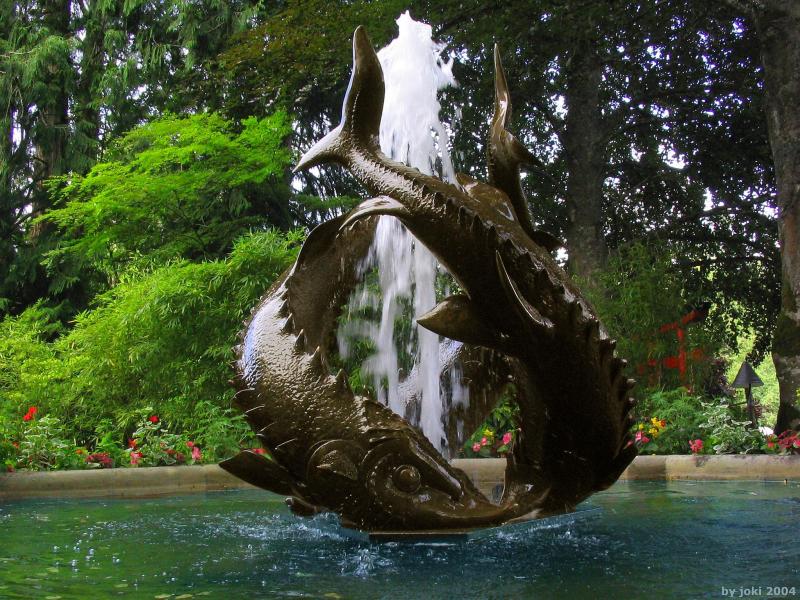 �����ɾ��Ļʼ�԰�� - ��Ʒ����border=