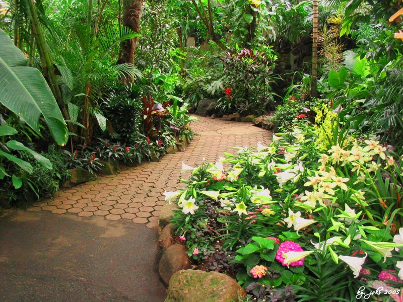 �����ɾ��Ļʼ�԰�� - ��Ʒ����border=