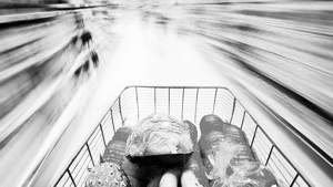 �������ڿ�ʼ��ע��ʳ����