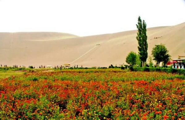 你会为她流泪吗?「美图」 - jzss2008 - 地球村 你会为她流泪吗?「美图」 - jzss2008 - 地球村