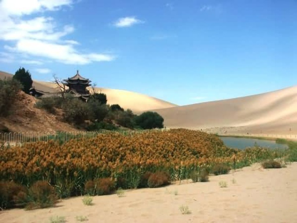 你会为她流泪吗?「美图」 - jzss2008 - 地球村 你会为她流泪吗?「美图」 - jzss2008 - 地球村