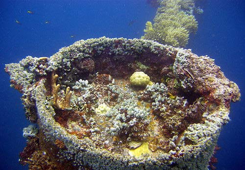 �ܿ�������������