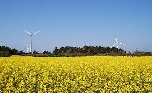 �������ݵ�