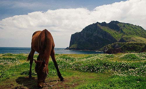 �������ݵ�