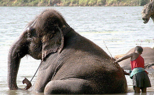 ˹������