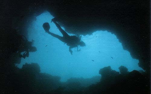 ����Ⱥ��