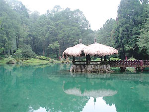 阿里山“国家公园”里,姊姊潭周围有木质栈道,极适合在此休憩