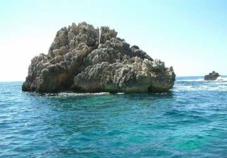 ���ܱȻ�����Ůϲ�������С��