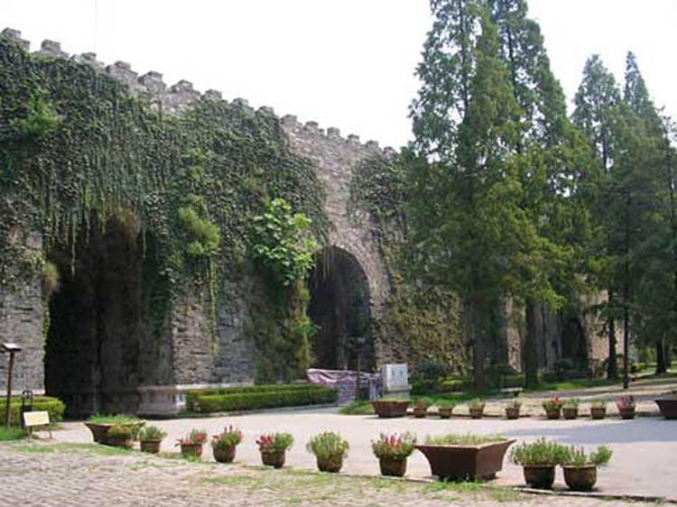 �й��Ŵ���ǽ��ȫ���£� - ���Ǹɱ��� - 