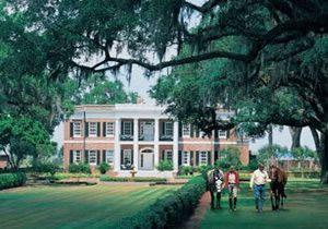 �Ÿ�������һ������ĵ�Ӱ�⾰��