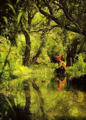 �Ÿ�������һ������ĵ�Ӱ�⾰��