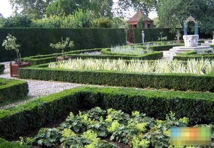 �¶�л������