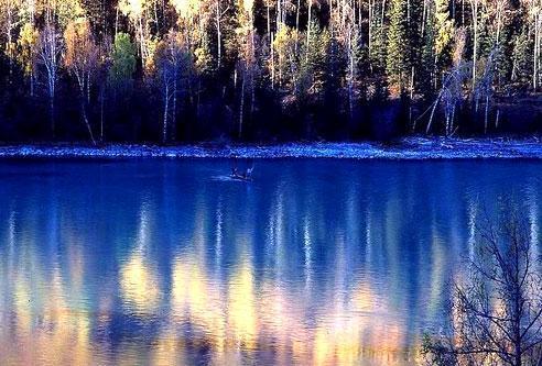 迷人冬景 迷人冬景