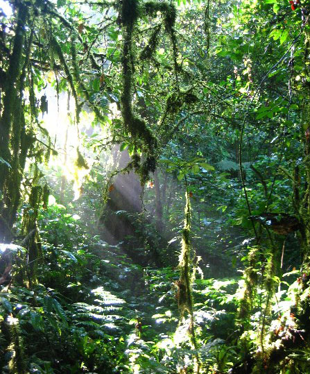 �������´��ڴ�ͼƬ