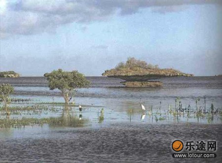 �������´��ڴ�ͼƬ