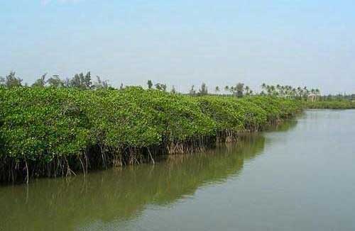 度假胜地 中国最美的八大海岸线