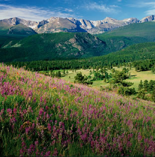 �������´��ڴ�ͼƬ